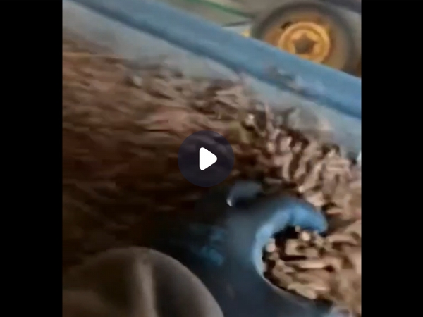 固液分离机视频