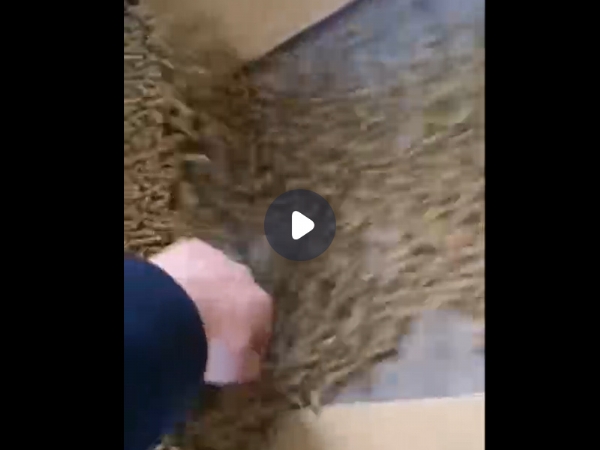 固液分离机视频-东致环保