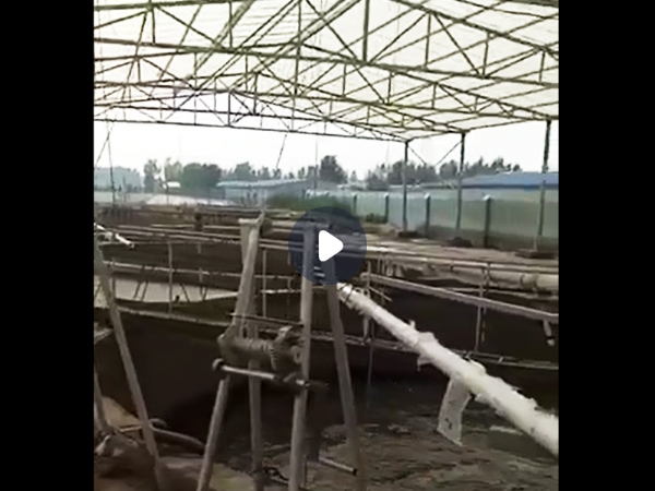 固液分离机视频-东致环保